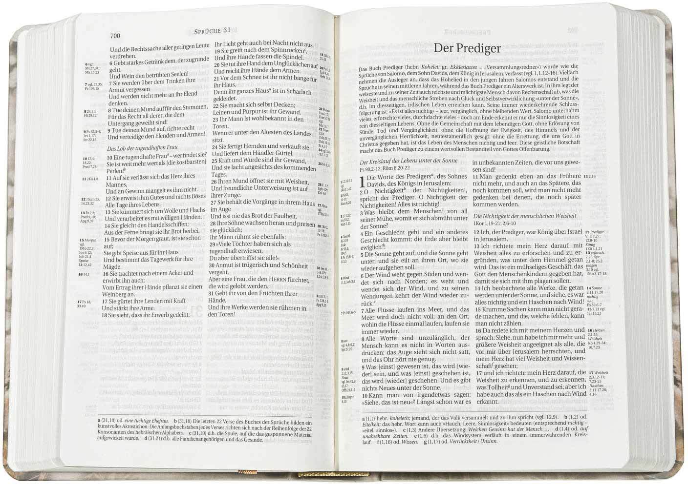 Schlachter 2000 Bibel - Taschenausgabe (Pampasgras)