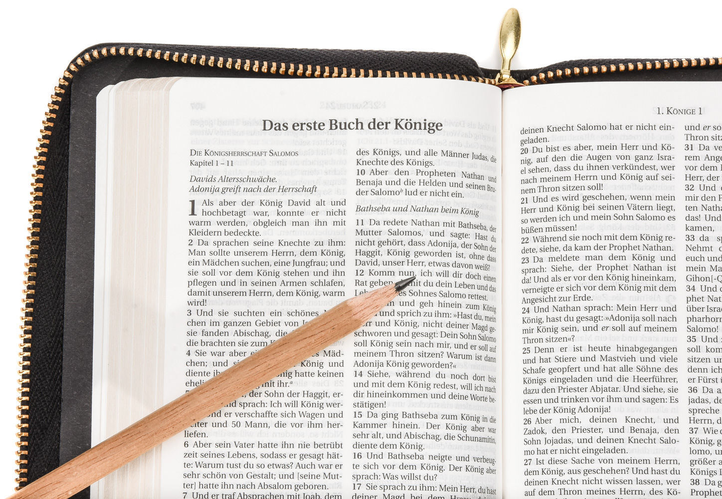 Die Bibel – Schlachter 2000 (Miniaturausgabe in Kalbsleder)