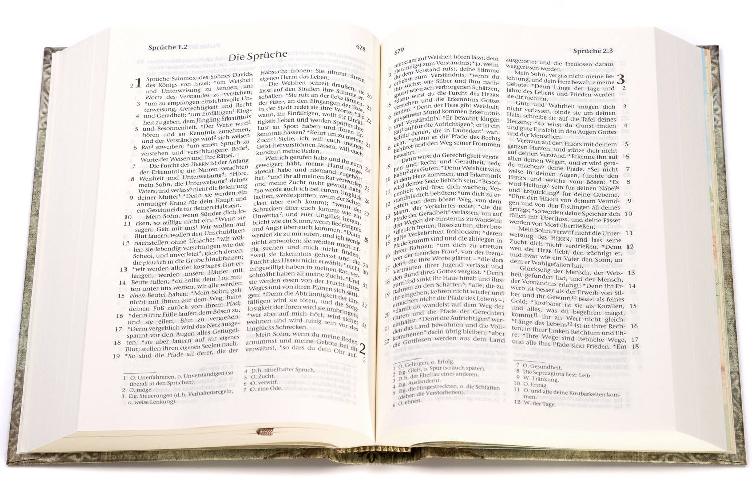 Elberfelder Bibel - Taschenbibel, Motiv Vintage