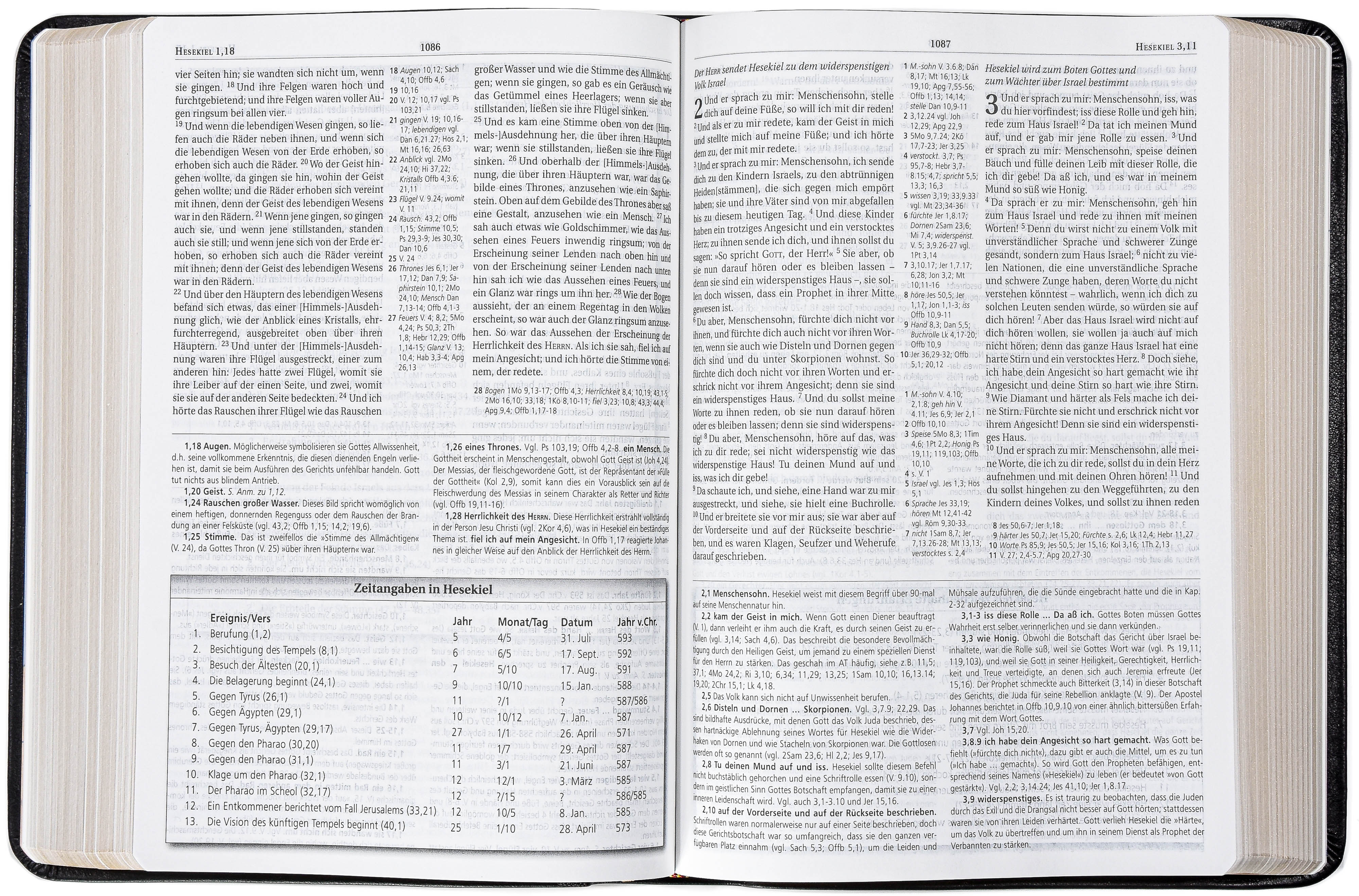 MacArthur Studienbibel - Schlachter 2000 - Kalbsleder-Ausgabe